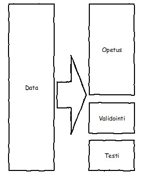 Data jaetaan opetus-, validointi- ja testidataan.