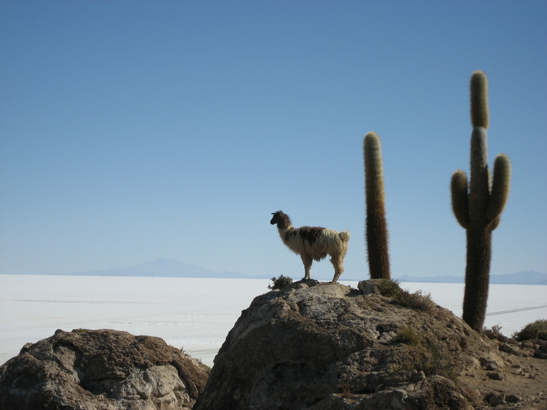 Salar De Uyunin suolatasanko Boliviassa (Kuva dasgestiefeltemaedchen Pixabaystä)