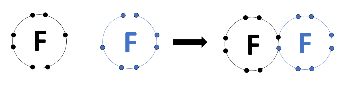 Kuvassa on havainnollistettu fluorimolekyylin () syntymistä kahdesta fluoriatomista. Fluori on pääryhmässä numero 17, joten sillä on uloimmalla elektronikuorella 7 elektronia. Kun kaksi fluoriatomia sitoutuu toisiinsa, kumpikin niistä luovuttaa yhden elektronin sidoselektronipariin.