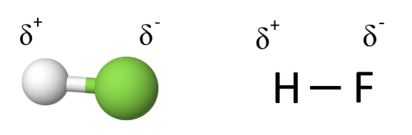 Vetyfluoridimolekyylin (HF) molekyylimalli ja viivakaava. Fluoriatomi vetää yhteisiä sidoselektroneja voimakkaammin puoleensa, joten sille muodostuu negatiivinen osittaisvaraus (δ-). Molekyylin vetyatomille muodostuu vastaavasti positiivinen osittaisvaraus (δ+).