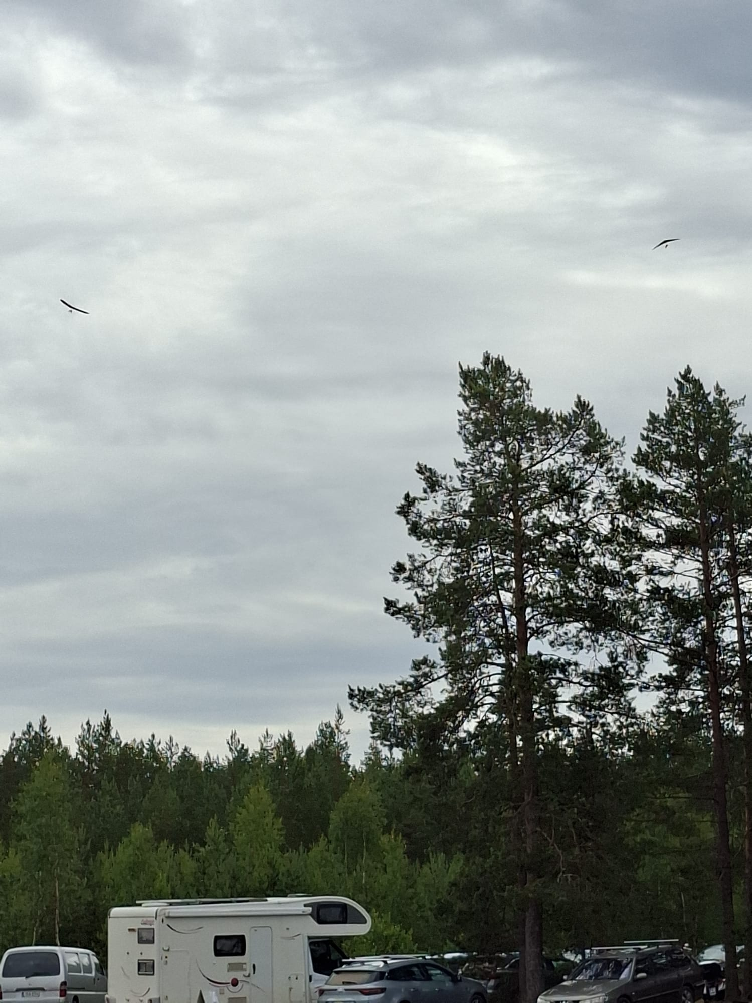 Ville ja Pasi