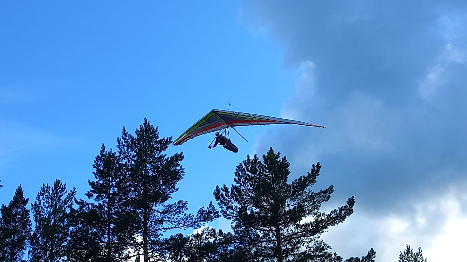 Kilpailunjohtaja